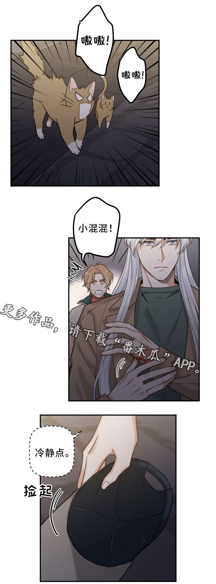亲爱的喵君漫画,第15章：抓伤1图