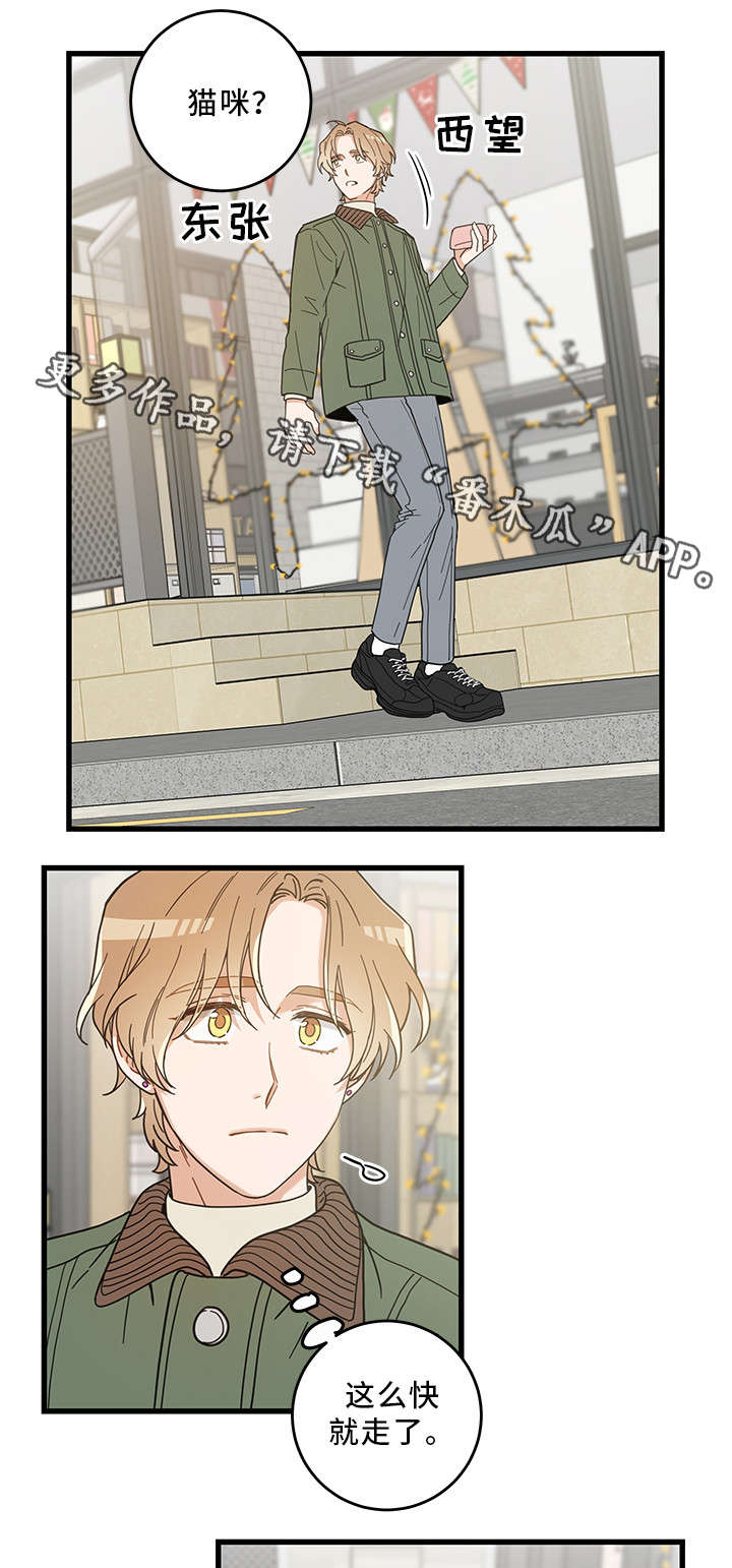 亲爱的喵君漫画,第31章：黑猫4图