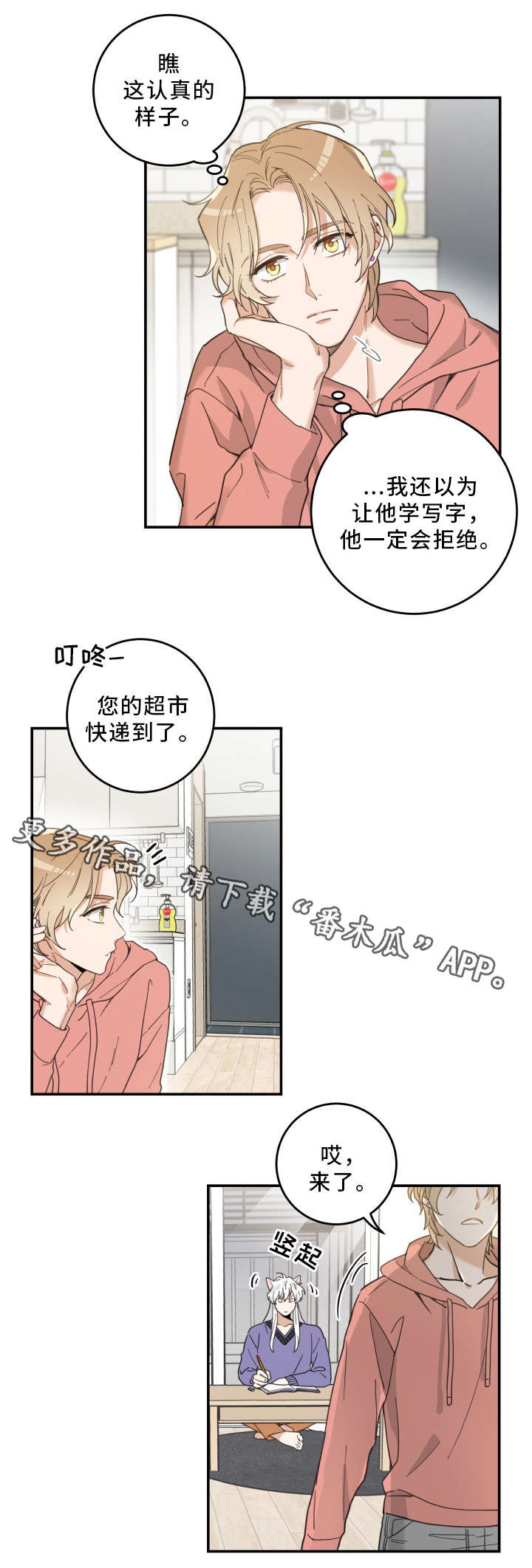 亲爱的喵君漫画,第11章：钻箱子2图