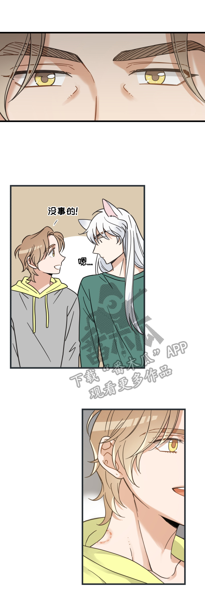 亲爱的喵君漫画,第67章：同意2图