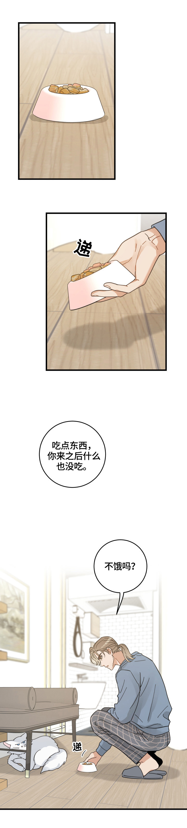 亲爱的喵君漫画,第61章：叫门4图