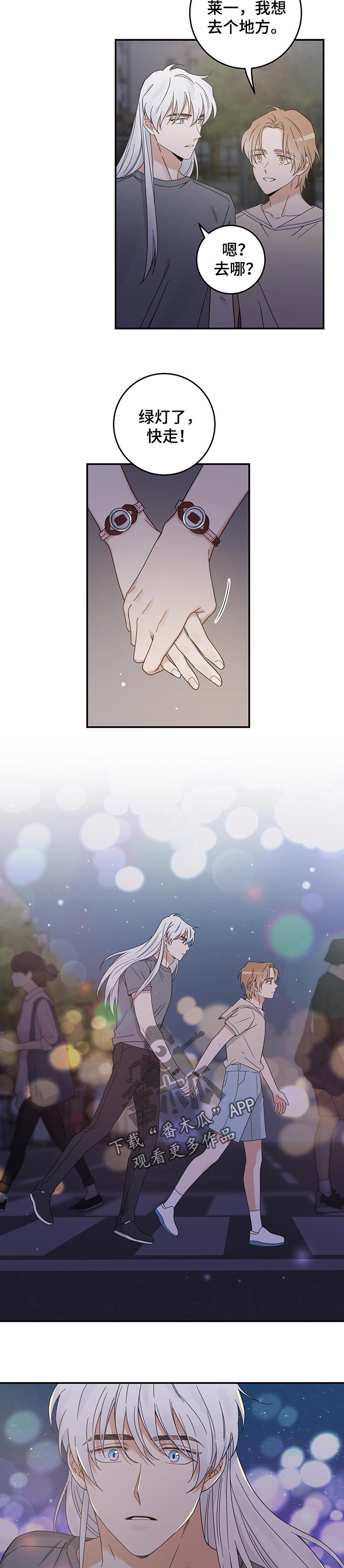 亲爱的喵君漫画,第117章：我唯一的猫【完结】2图