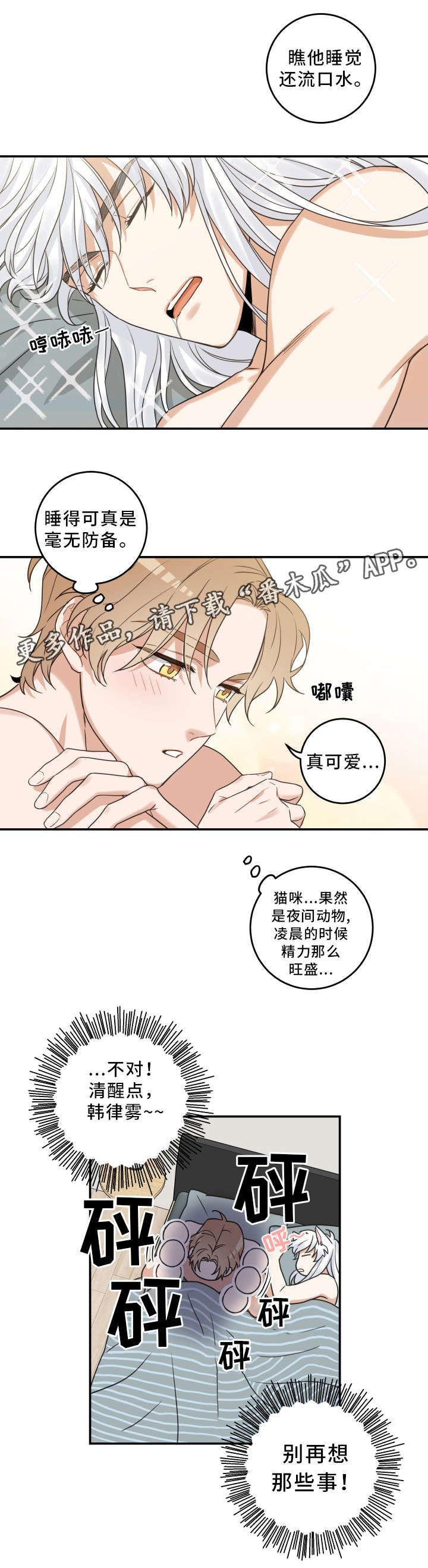 亲爱的喵君漫画,第21章：炸了5图
