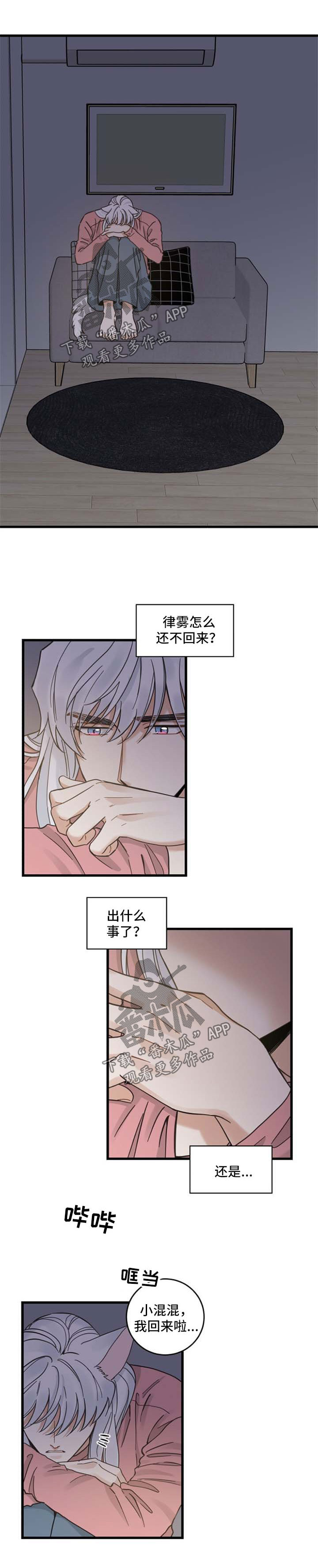 亲爱的喵君漫画,第88章：回来晚了5图