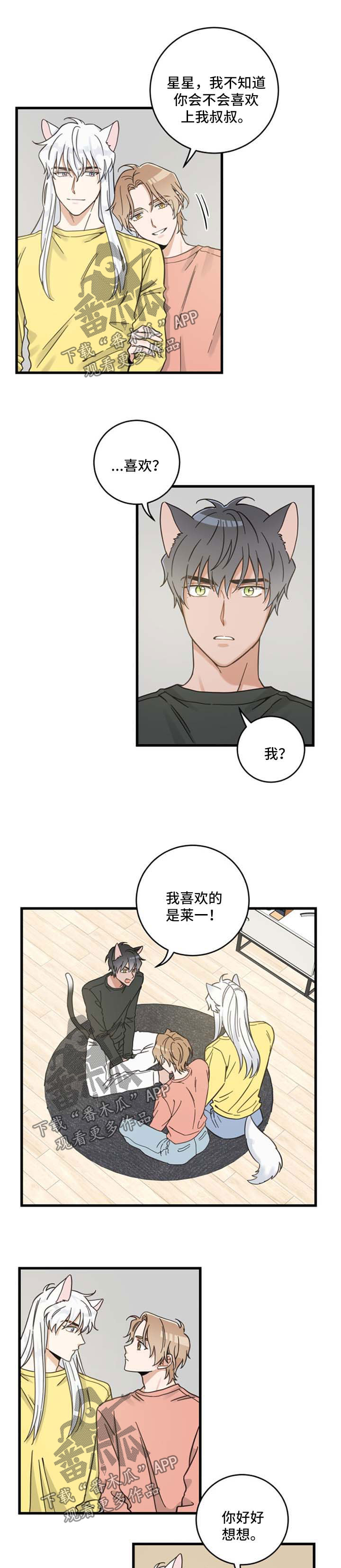 亲爱的喵君漫画,第86章：不同的喜欢5图