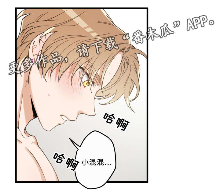 亲爱的喵君漫画,第34章：味道4图