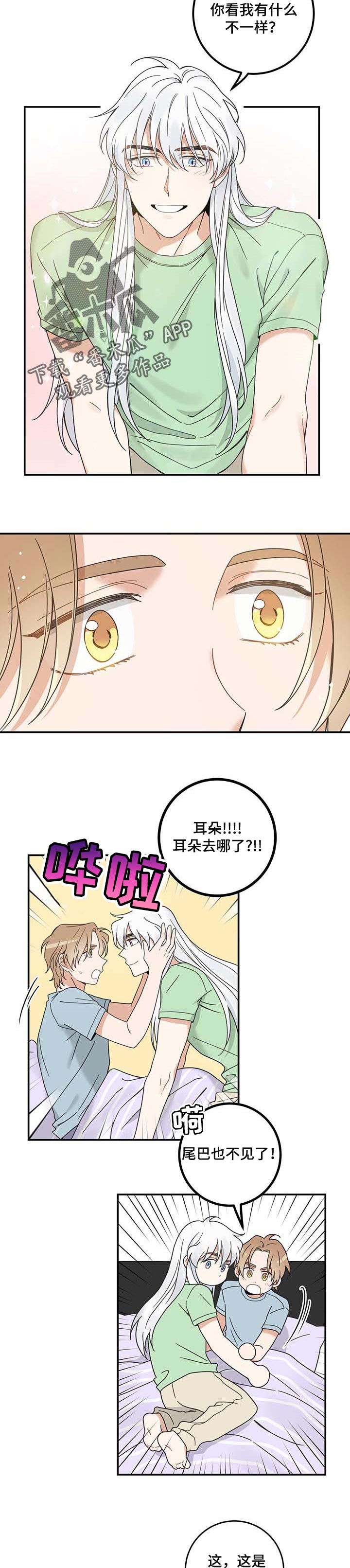 亲爱的喵君漫画,第115章：变成人了5图