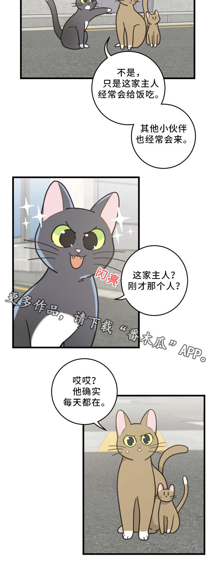 亲爱的喵君漫画,第32章：晕倒3图