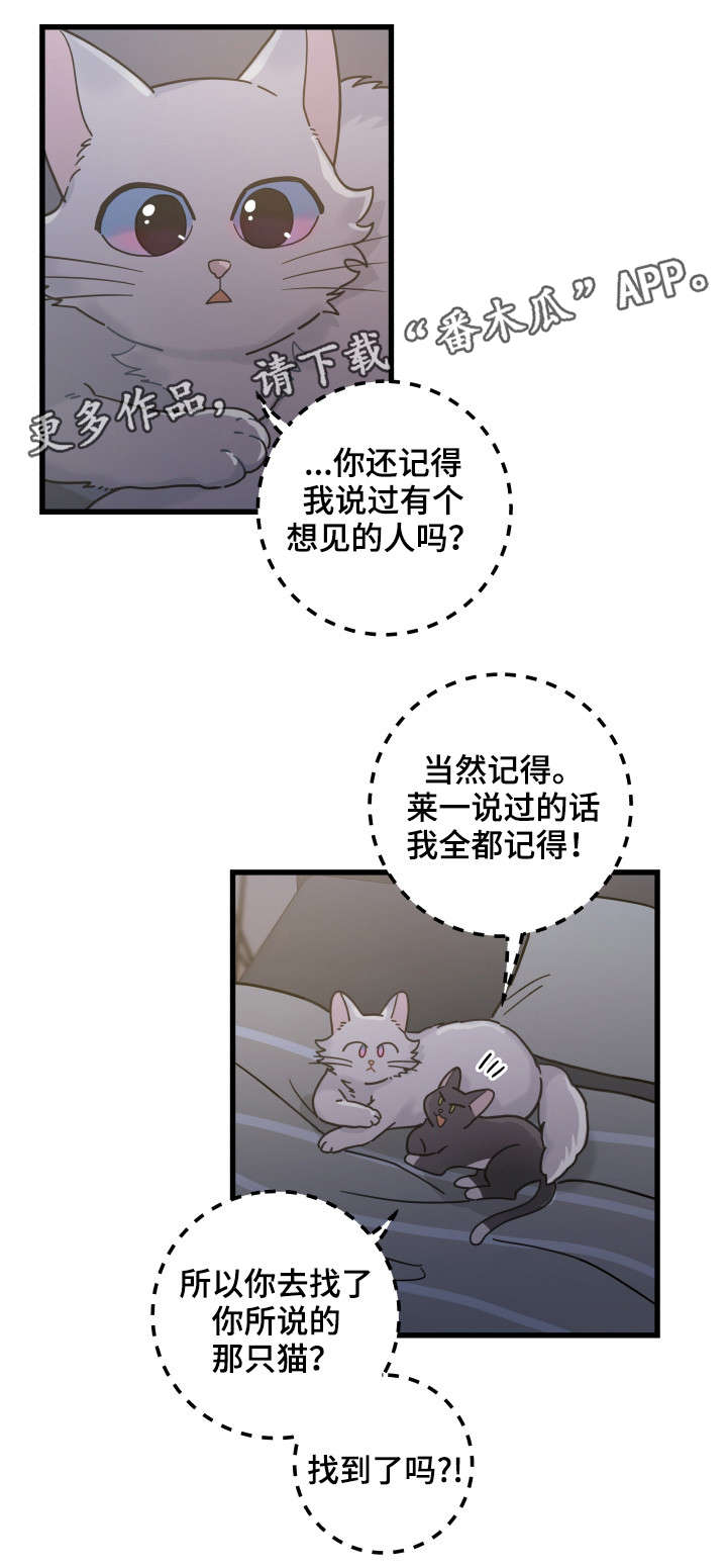 亲爱的喵君漫画,第39章：你别走3图