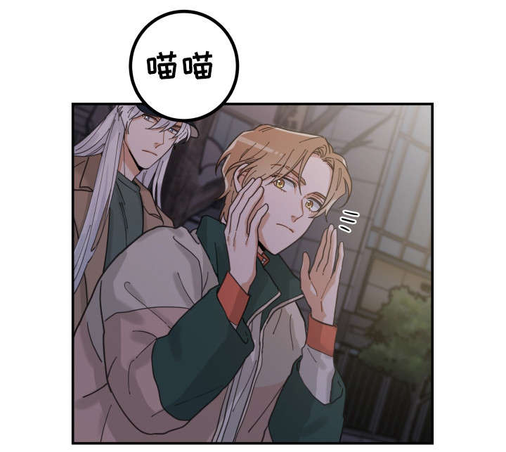 亲爱的喵君漫画,第14章：散步3图
