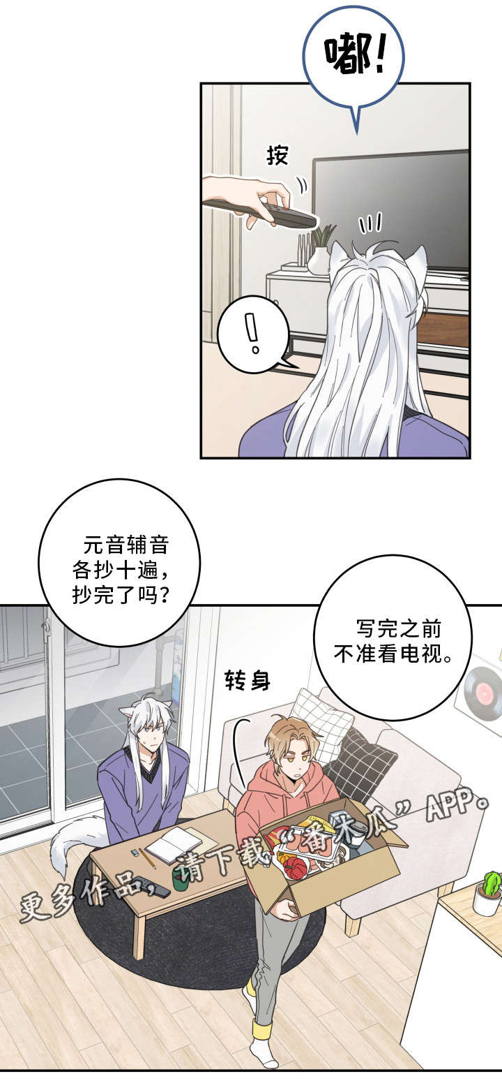 亲爱的喵君漫画,第11章：钻箱子5图