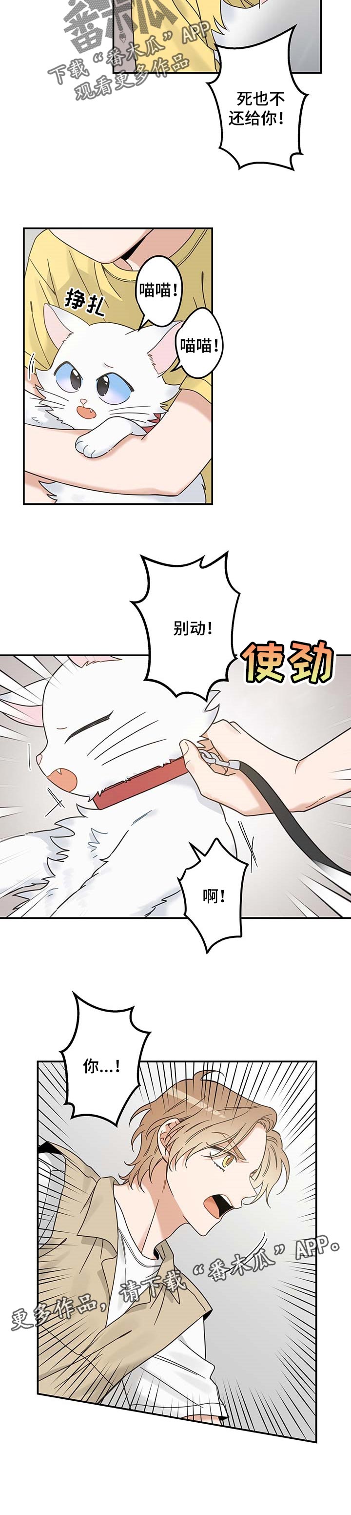 亲爱的喵君漫画,第110章：找到了5图