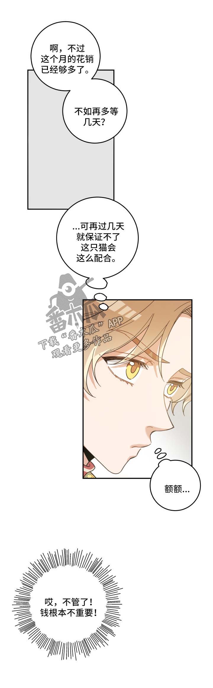亲爱的喵君漫画,第47章：发工资1图