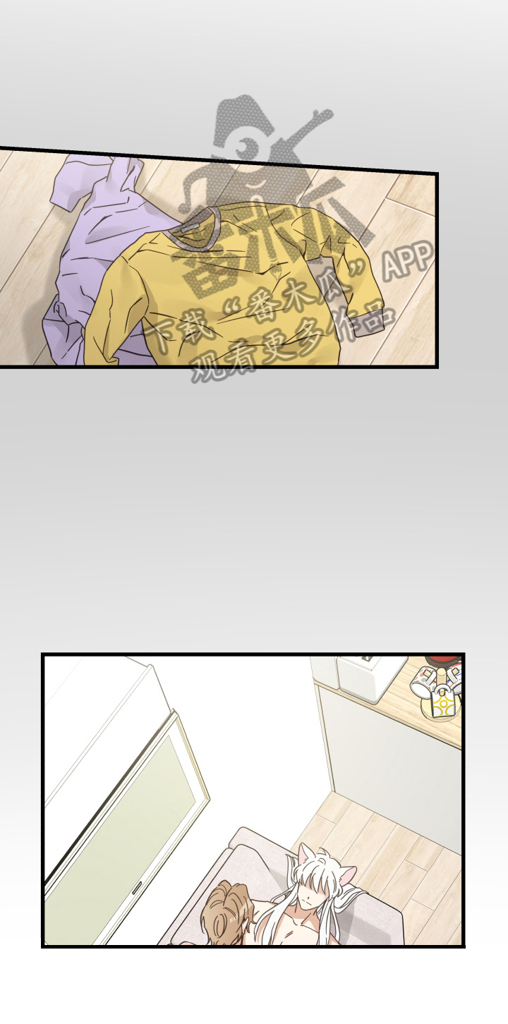 亲爱的喵君漫画,第71章：原谅1图