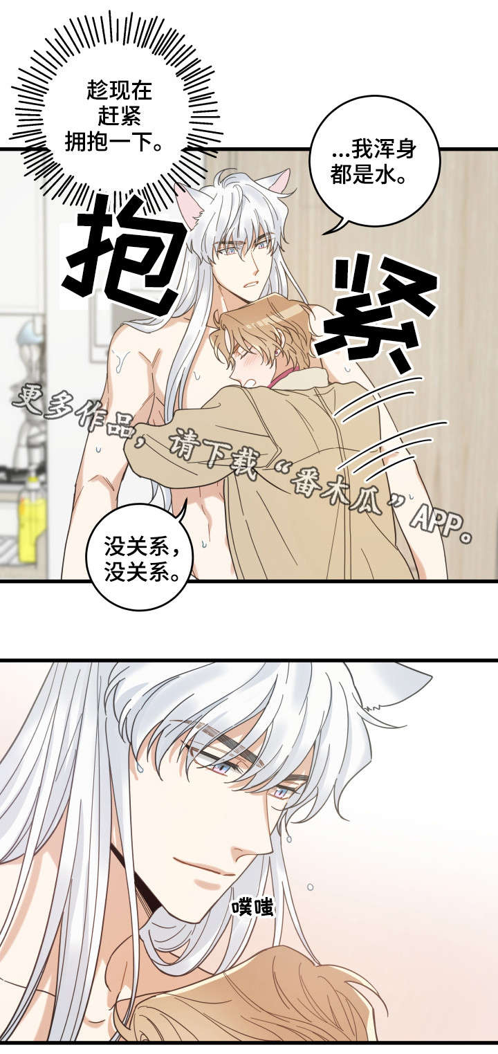 亲爱的喵君漫画,第41章：本能1图