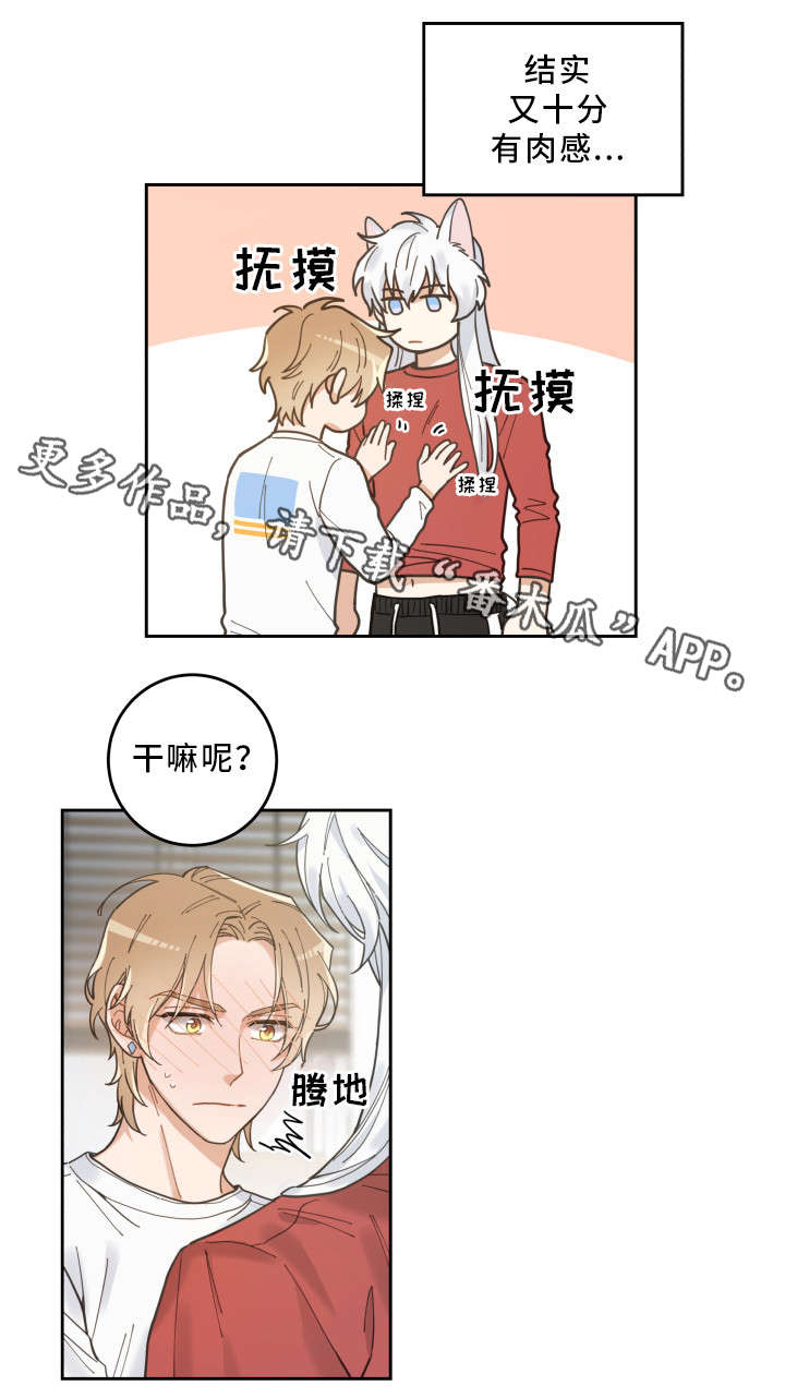 亲爱的喵君漫画,第7章：衣服2图