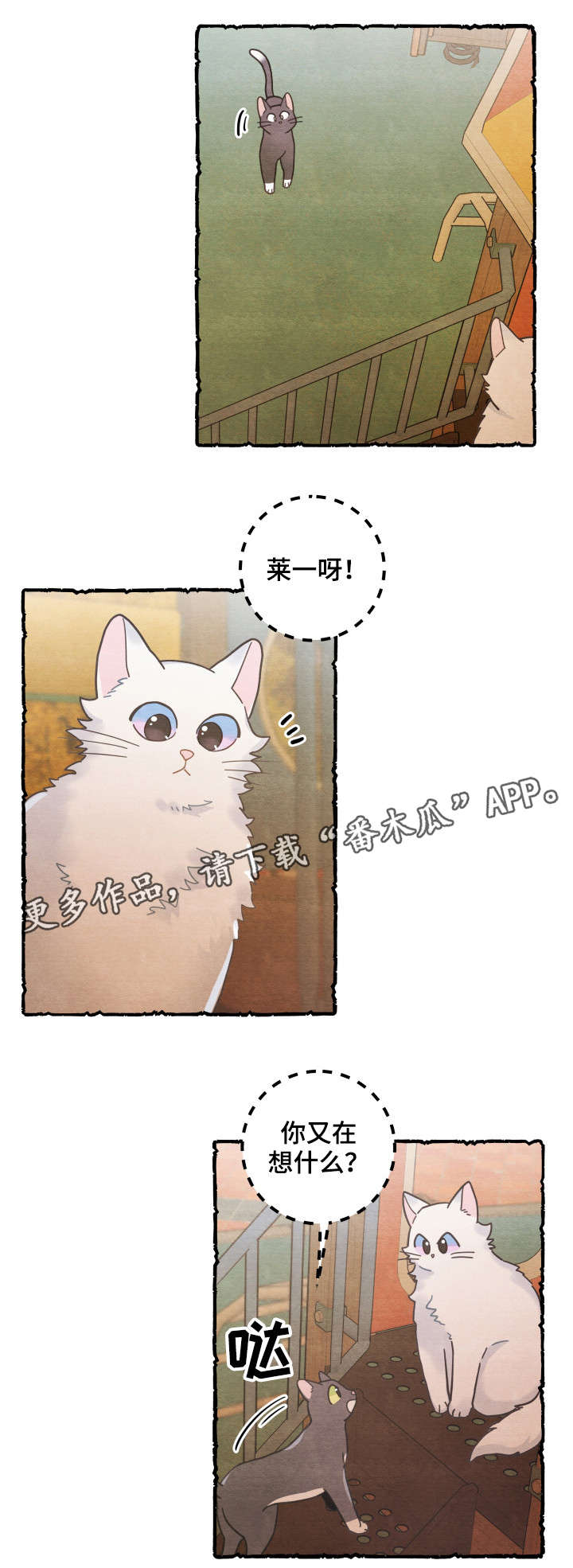 亲爱的喵君漫画,第38章：打扰2图