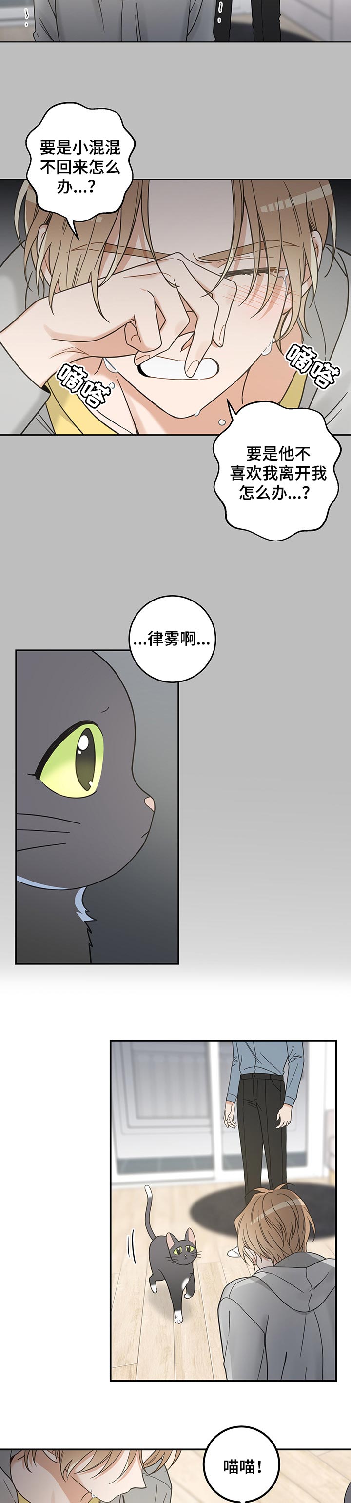 亲爱的喵君漫画,第105章：一定能找到4图