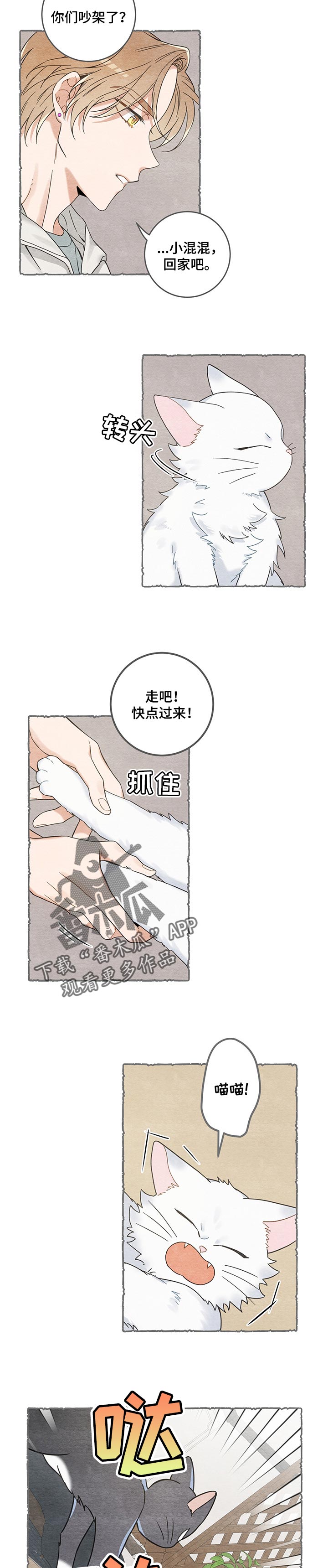 亲爱的喵君漫画,第102章：撒气1图