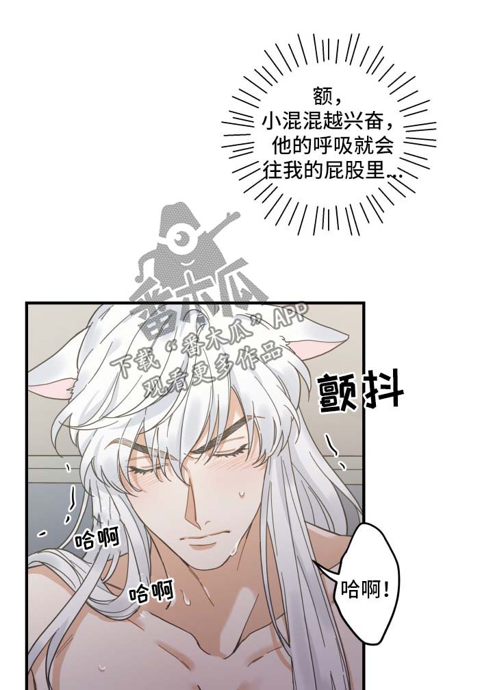 亲爱的喵君漫画,第50章：肌肤相亲2图