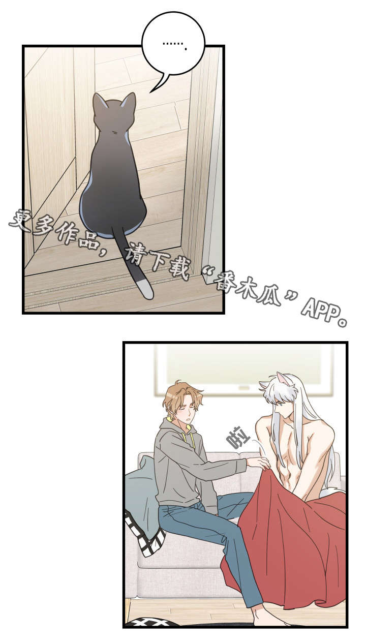 亲爱的喵君漫画,第40章：决心5图