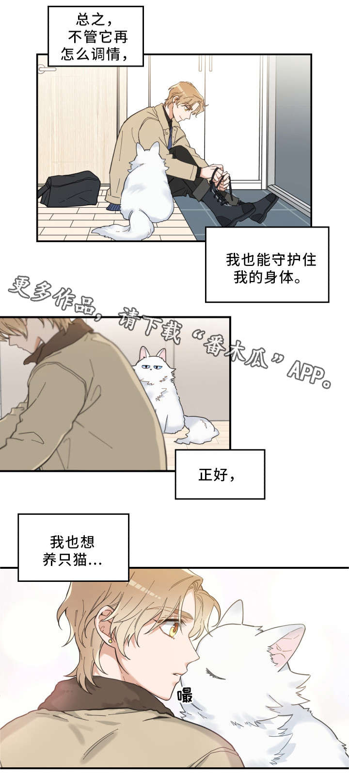 亲爱的喵君漫画,第10章：负责到底4图