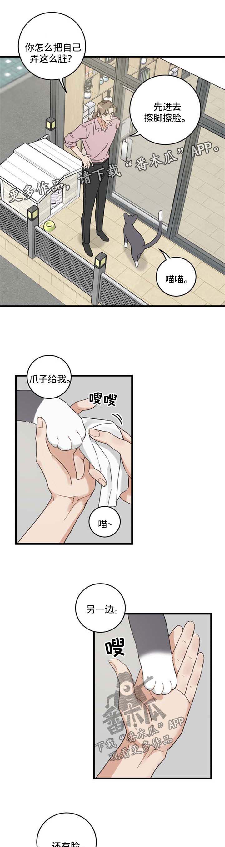 亲爱的喵君漫画,第95章：不行1图
