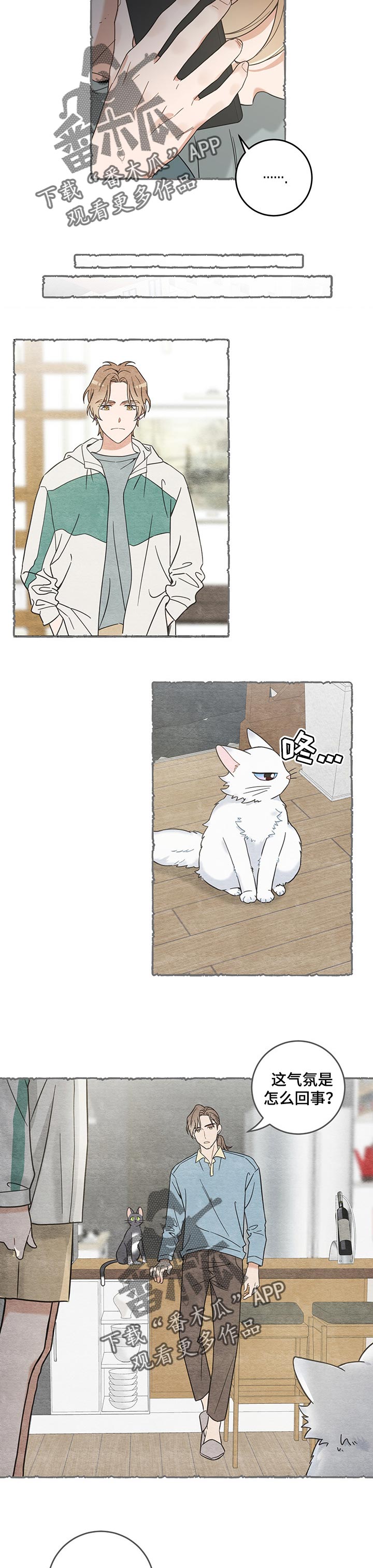 亲爱的喵君漫画,第102章：撒气5图