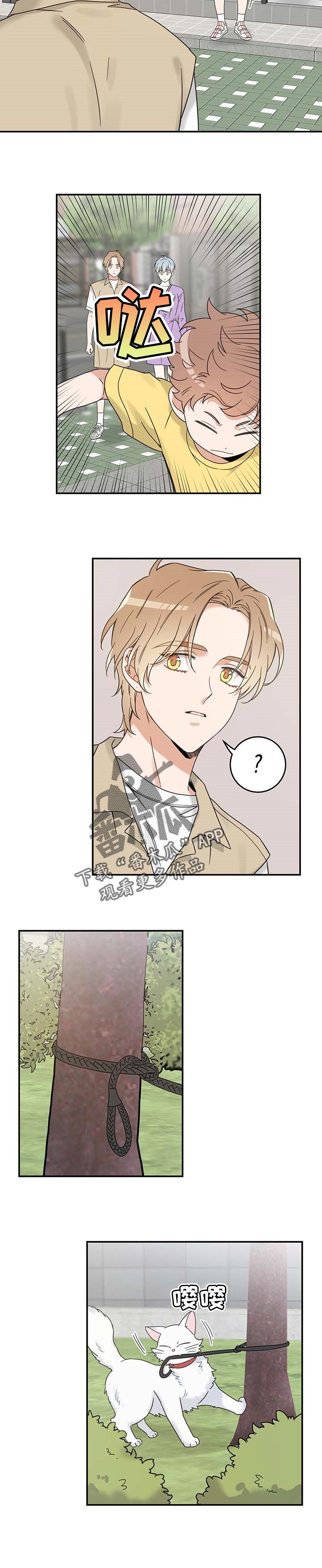 亲爱的喵君漫画,第110章：找到了4图