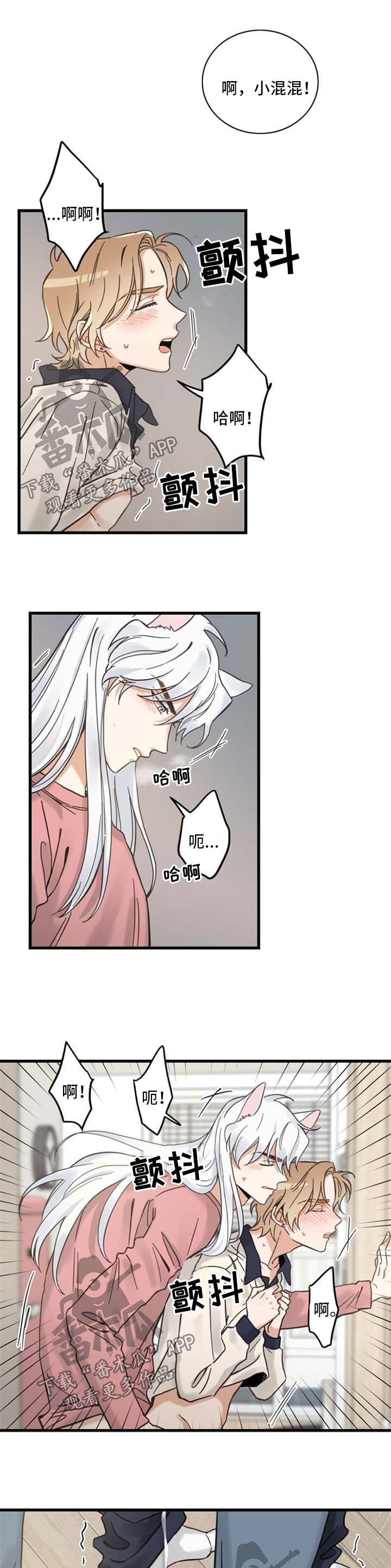 亲爱的喵君漫画,第89章：闹别扭1图