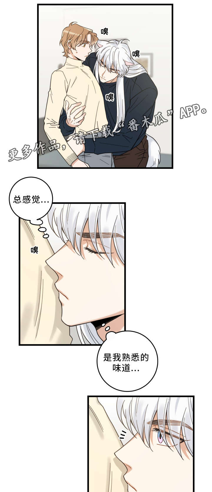 亲爱的喵君漫画,第34章：味道3图