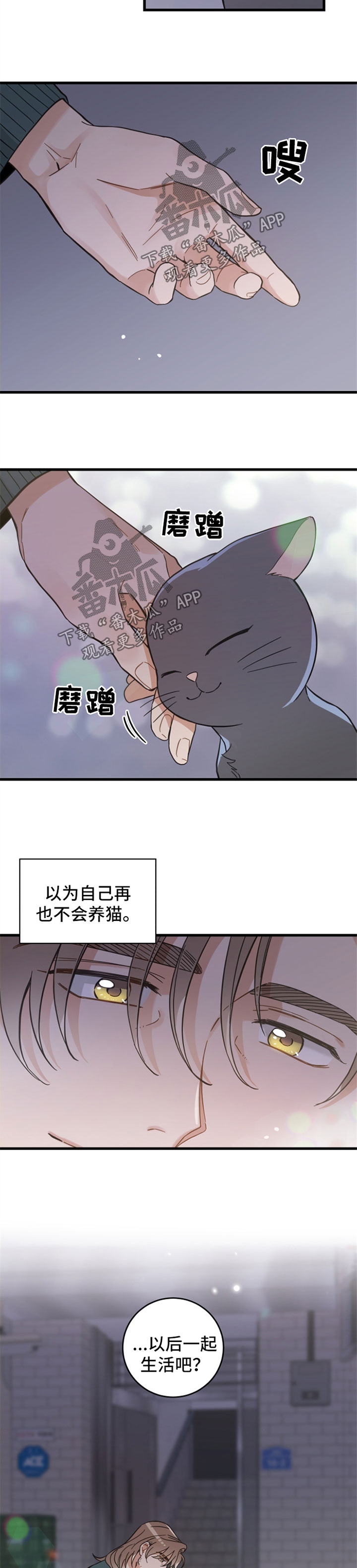 亲爱的喵君漫画,第83章：星星1图
