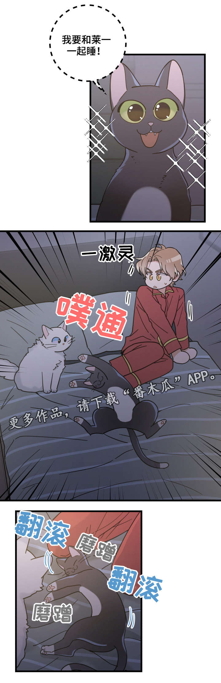 亲爱的喵君漫画,第39章：你别走3图