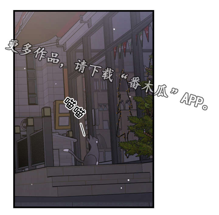 亲爱的喵君漫画,第35章：盯1图