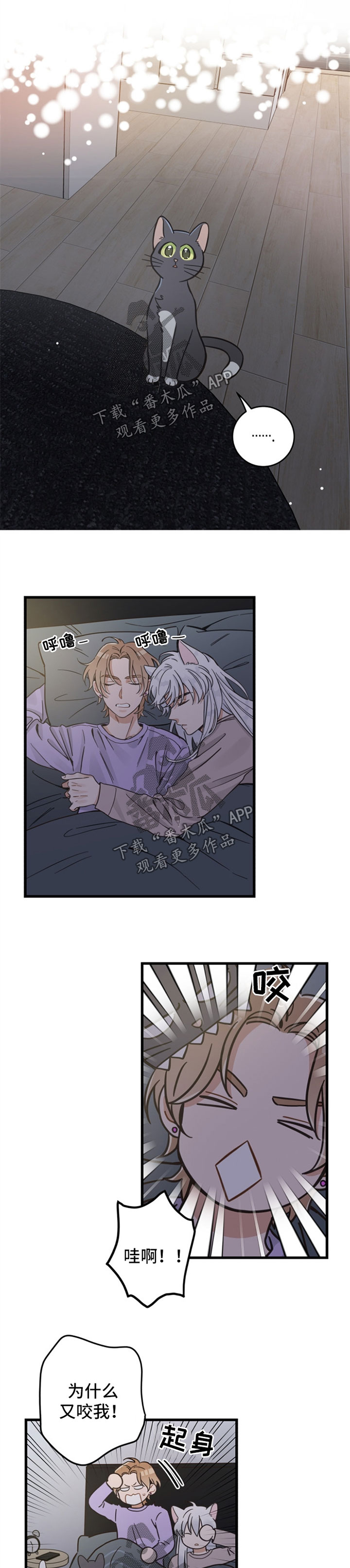 亲爱的喵君漫画,第82章：想要回家2图