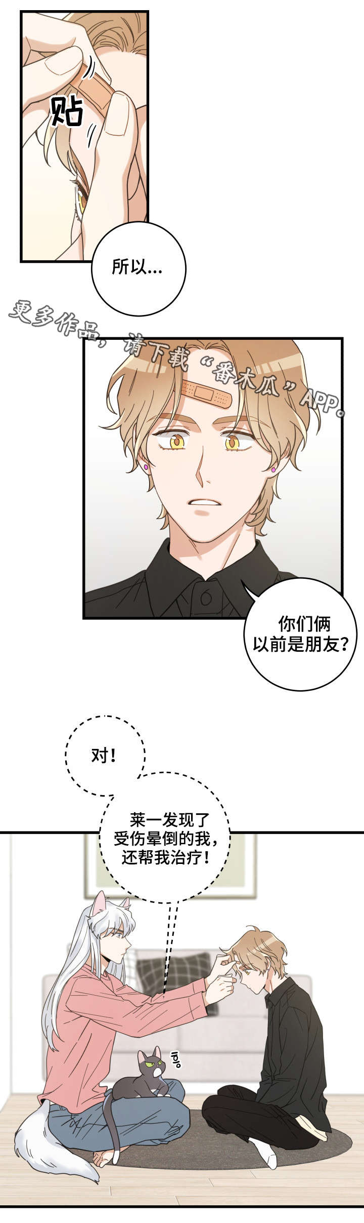 亲爱的喵君漫画,第37章：试探1图