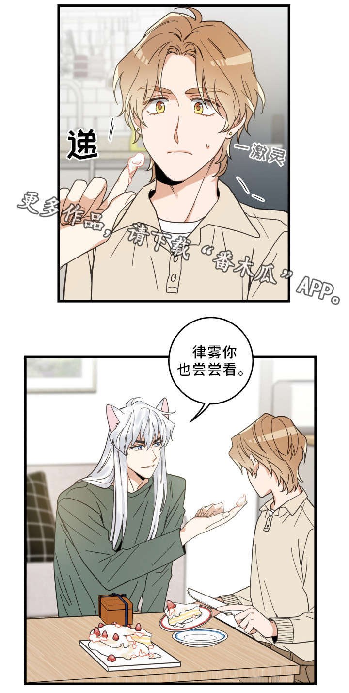 亲爱的喵君漫画,第28章：蛋糕3图