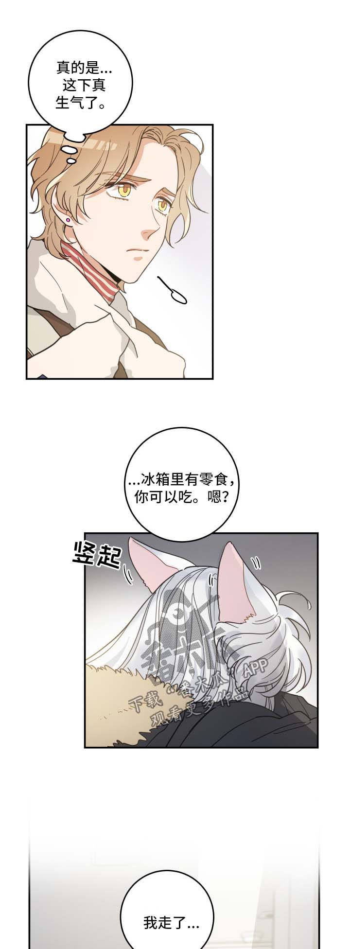 亲爱的喵君漫画,第46章：不能一起3图