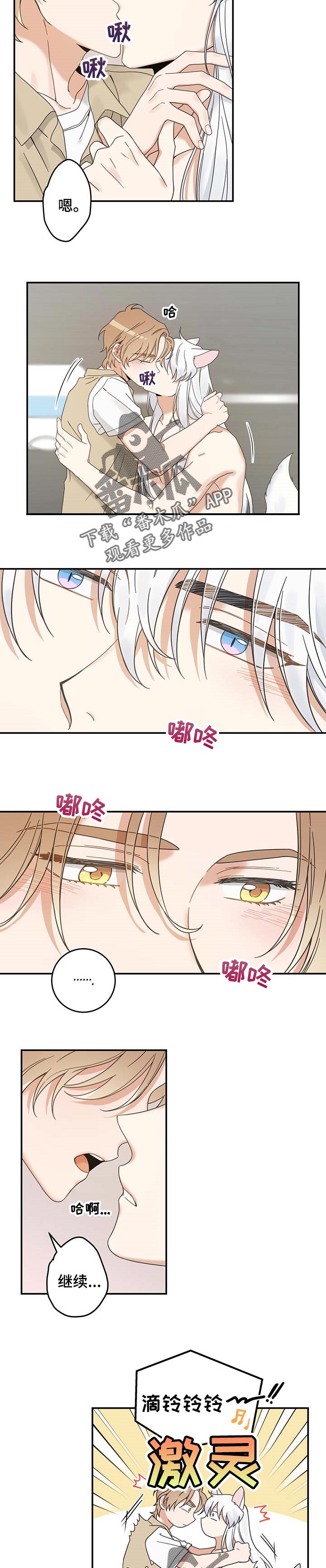 亲爱的喵君漫画,第112章：不要再乱跑了5图