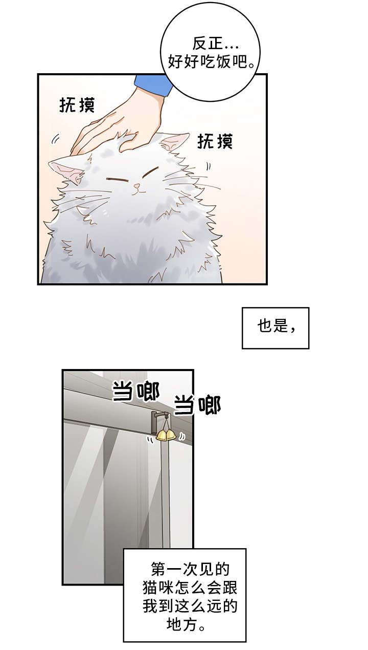 亲爱的喵君漫画,第1章：传说2图