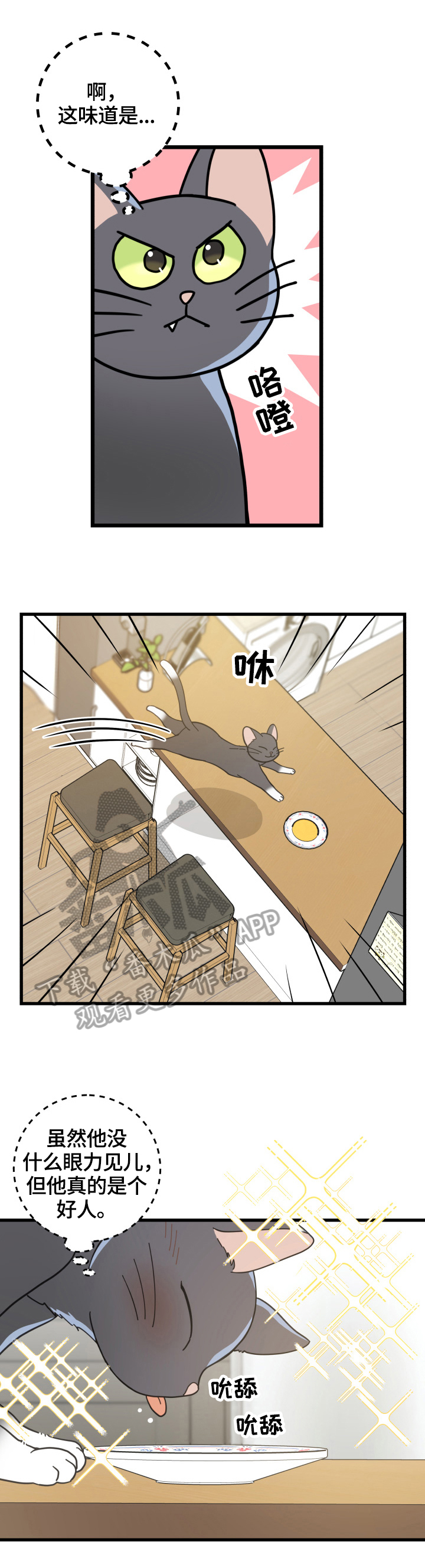 亲爱的喵君漫画,第56章：不能碰的东西4图