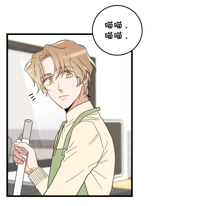 亲爱的喵君漫画,第32章：晕倒1图