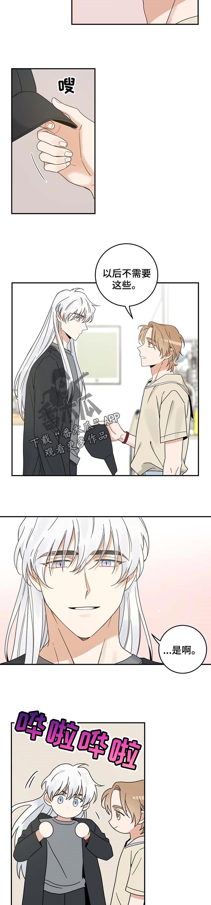 亲爱的喵君漫画,第116章：静待观察2图