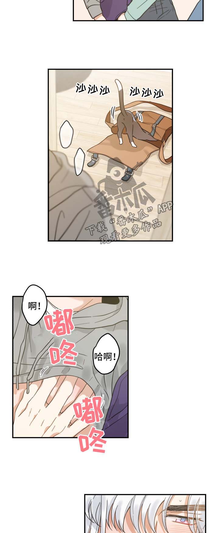 亲爱的喵君漫画,第45章：生气2图