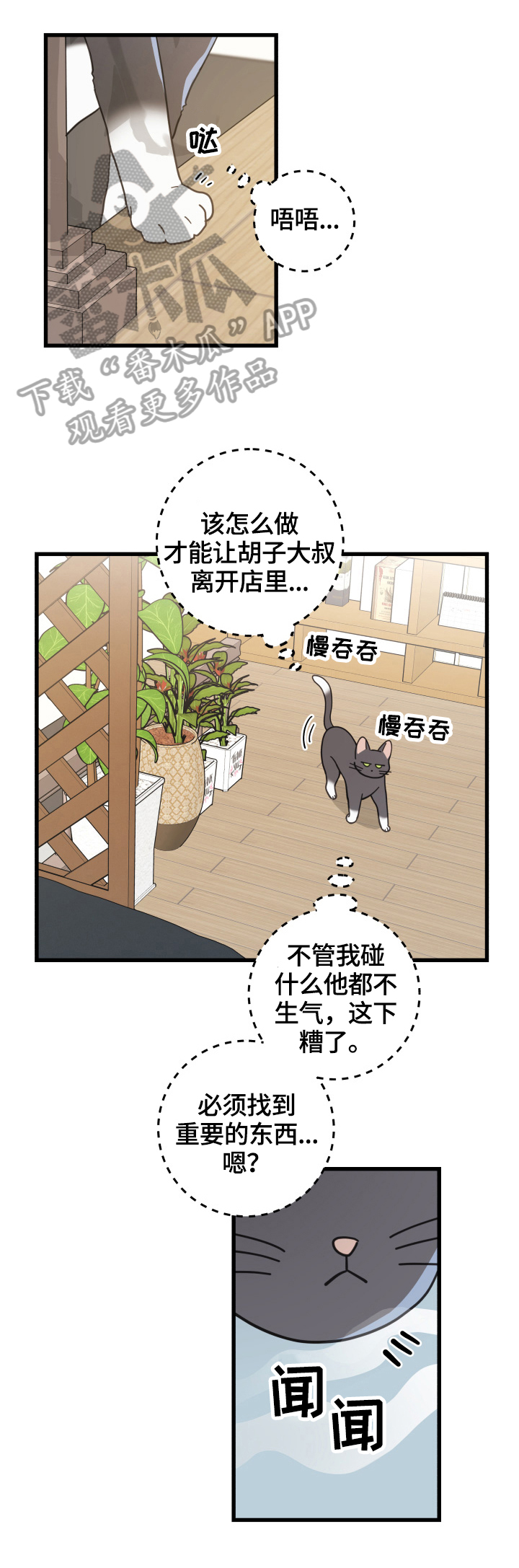 亲爱的喵君漫画,第56章：不能碰的东西3图
