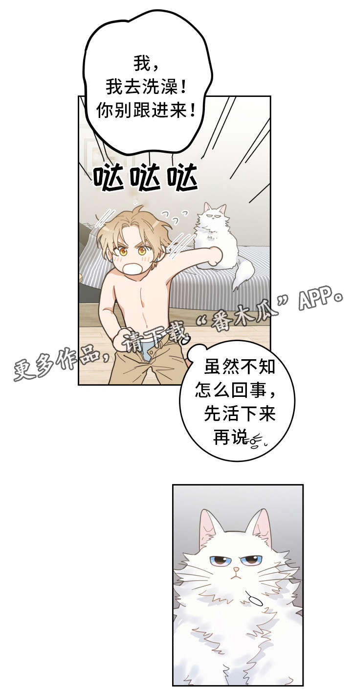 亲爱的喵君漫画,第8章：又变回去了4图