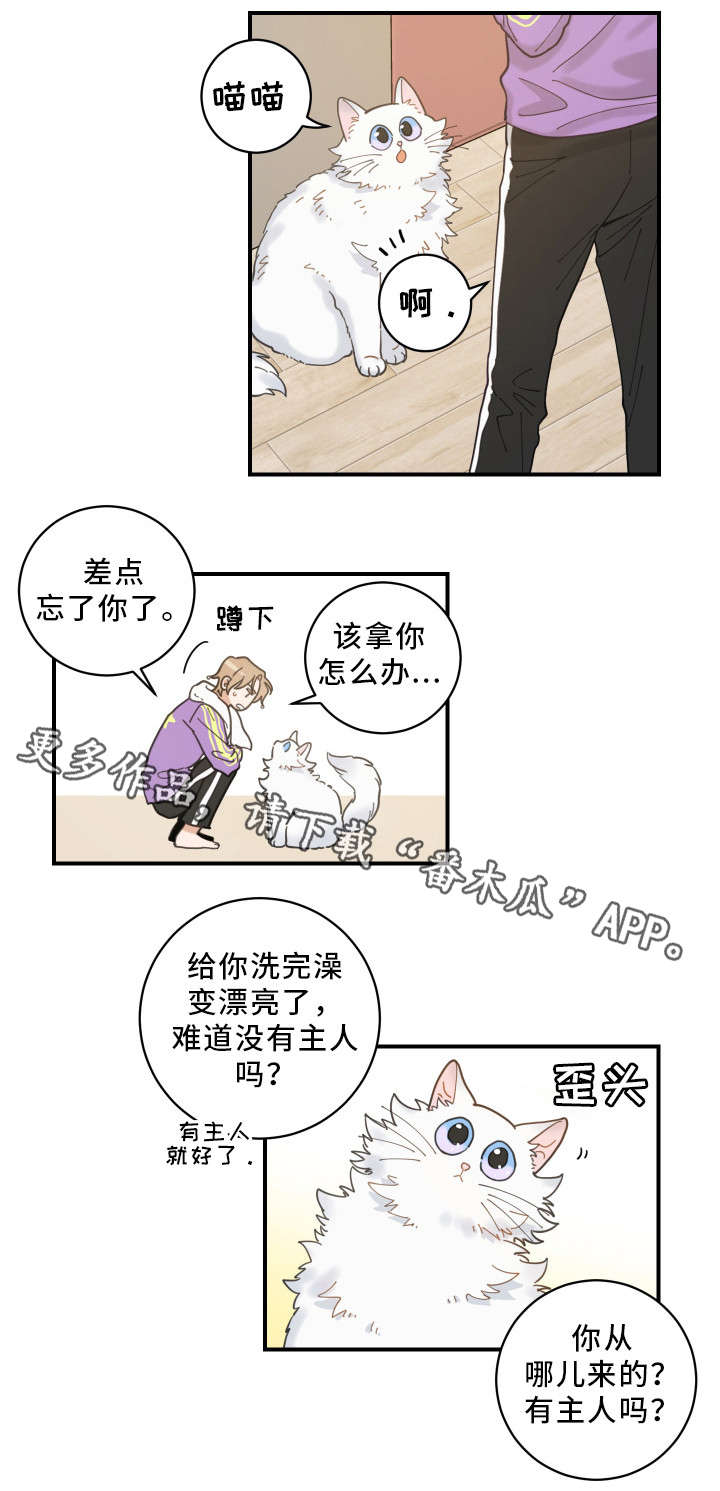 亲爱的喵君漫画,第4章：我要呆在这2图