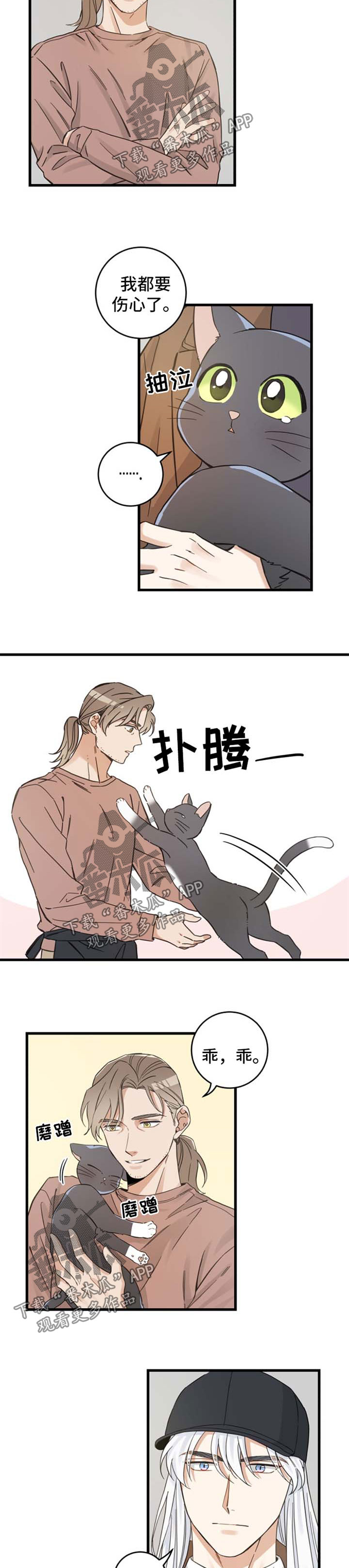 亲爱的喵君漫画,第79章：串门5图