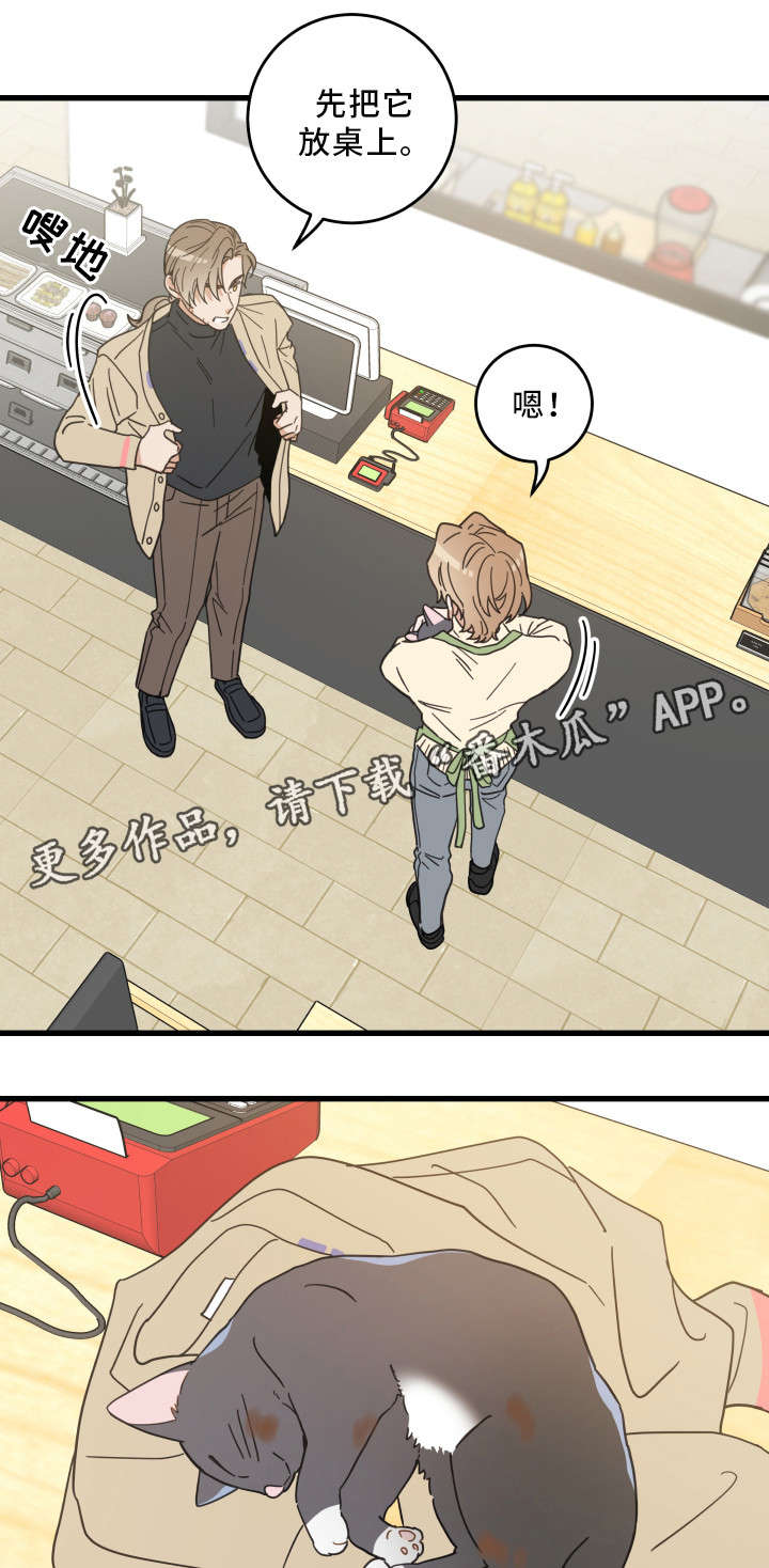 亲爱的喵君漫画,第32章：晕倒1图