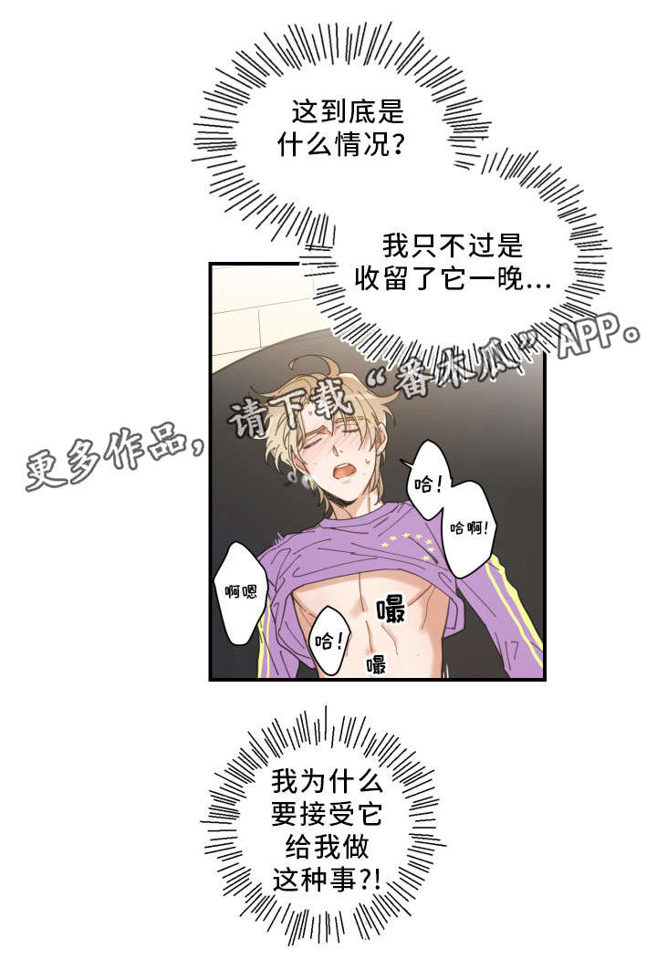 亲爱的喵君漫画,第6章：猫呢1图